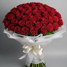 Букет 101 Красная роза Блэк Мэджик #REPLACE_PRED# Байкалово
