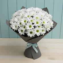 Букет цветов из:  Хризантемы в Байкалово