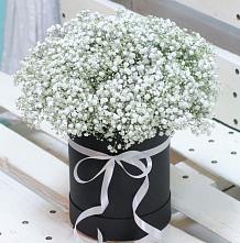 Цветочная композиция из Гипсофила в шляпной коробке #REPLACE_PRED# Байкалово