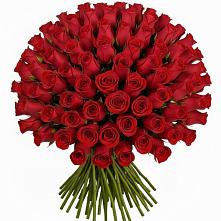 Букет Красные розы Чери Лав в Байкалово