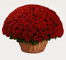 Премиум букет из: Розы в Байкалово