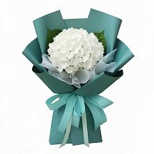 Букет цветов из:  Гортензия в Байкалово